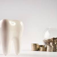 Tooth model in front of stacks of coins